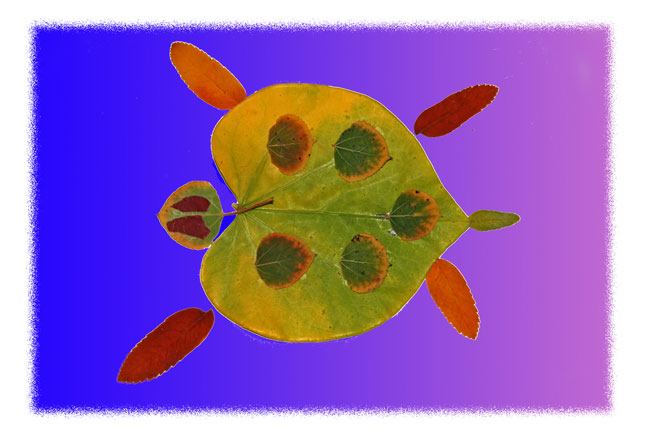 Creating Leaf Creatures with Kids