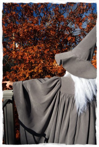Homemade Gandalf Costume