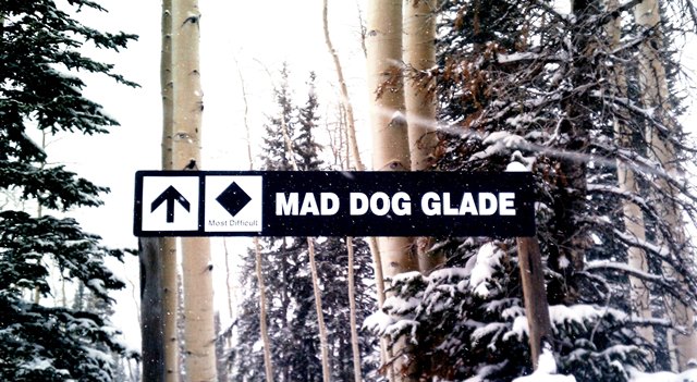 Mad Dog Mom Glade at Powderhorn